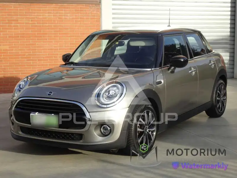 2020 Mini Unknown