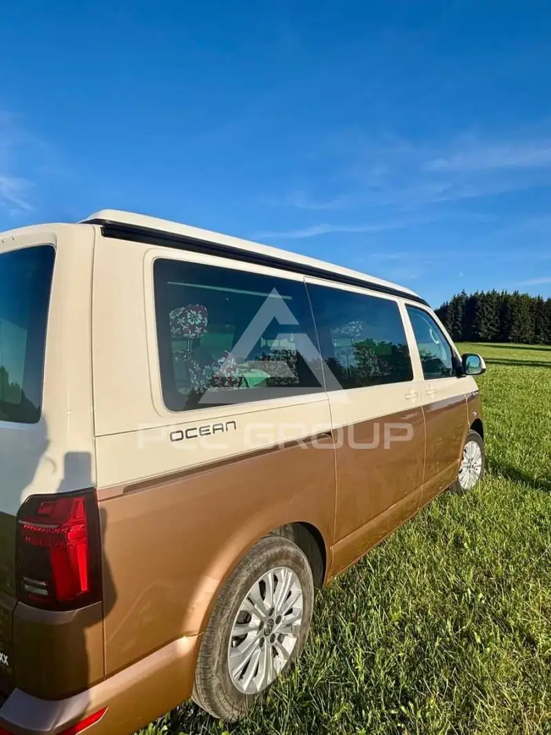 2020 Volkswagen T6