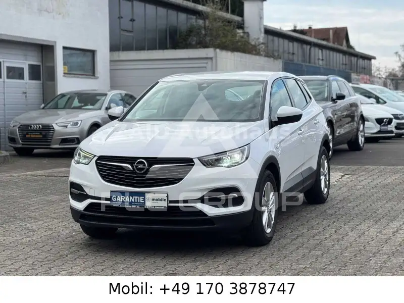2020 Opel GrandlandX