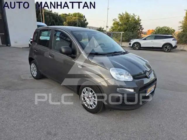 2021 Fiat Panda