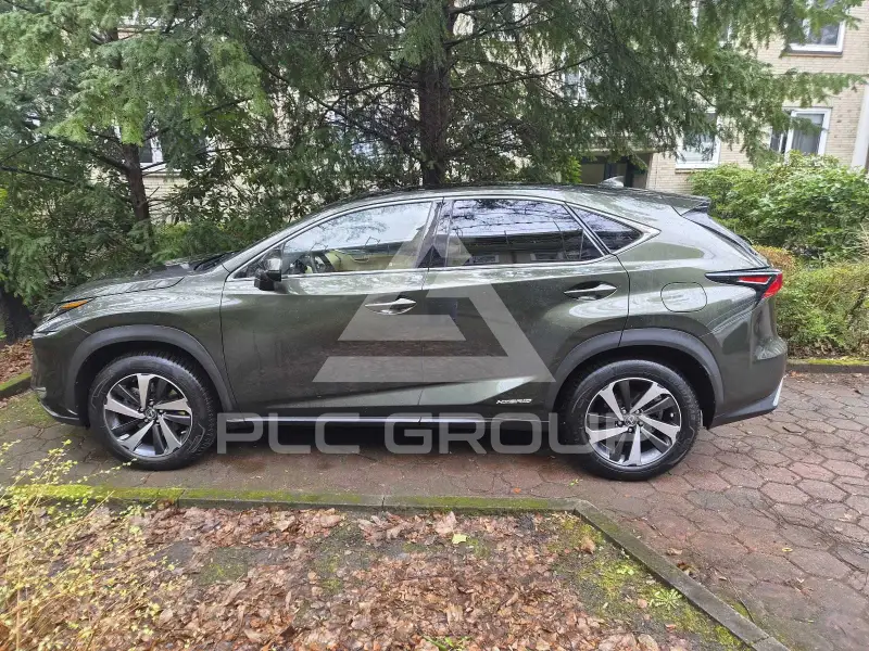 2021 Lexus NX300