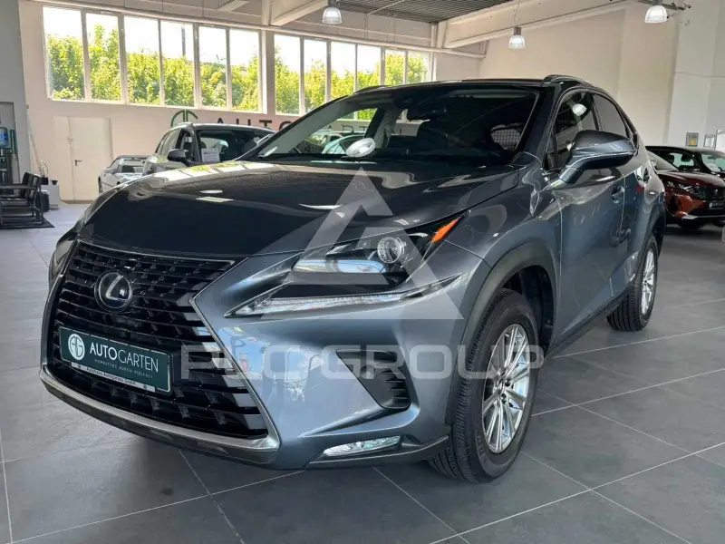 2021 Lexus NX300