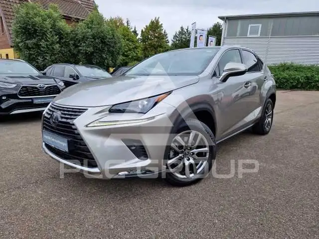 2021 Lexus NX300