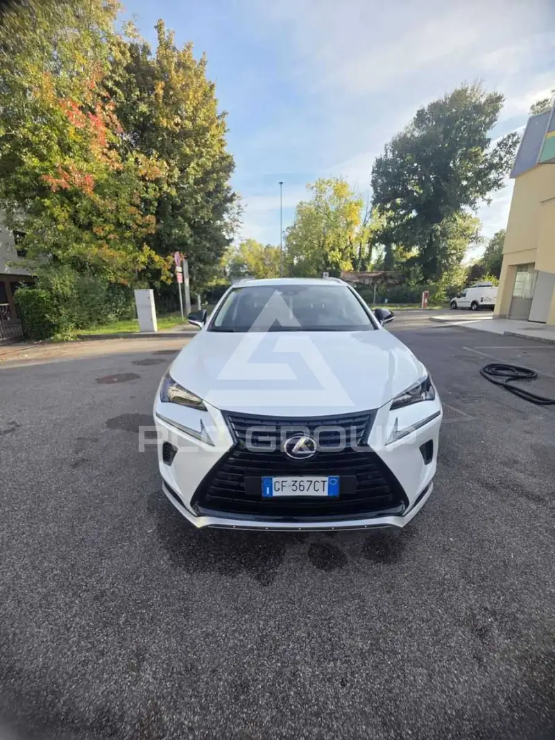 2021 Lexus Other