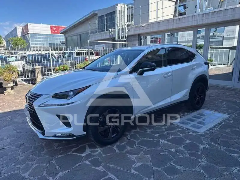 2021 Lexus Other