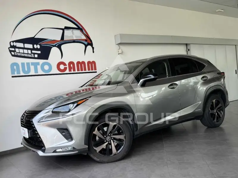 2021 Lexus Other