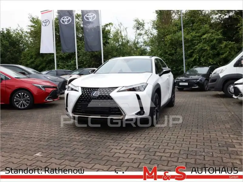 2021 Lexus UX