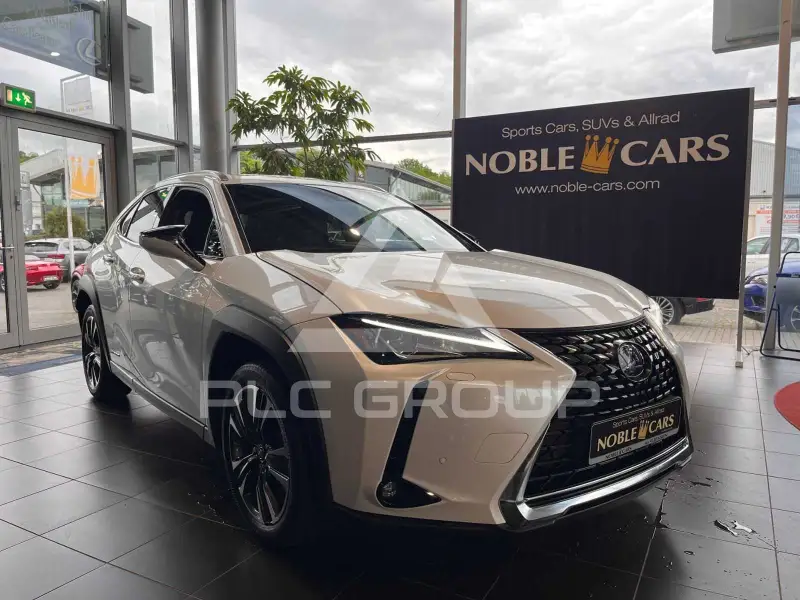 2021 Lexus UX