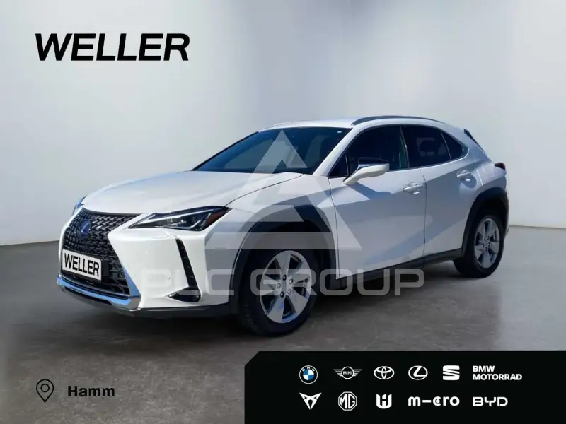 2021 Lexus UX
