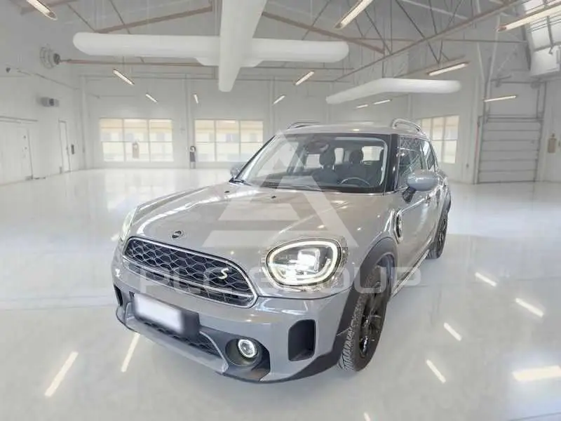 2021 Mini Unknown
