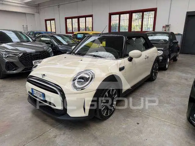 2021 Mini Unknown