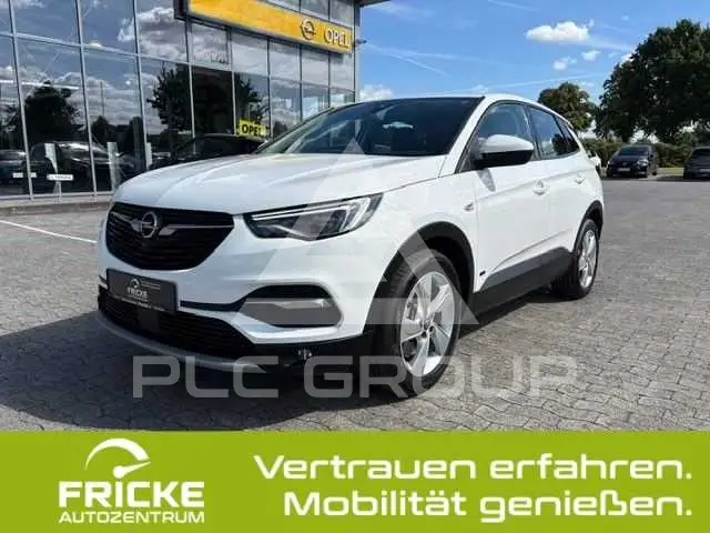 2021 Opel GrandlandX