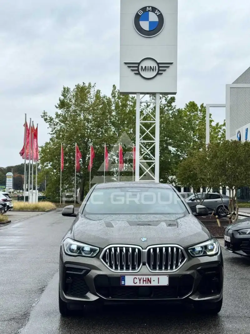 2022 BMW X6