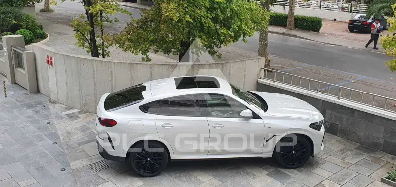 2022 BMW X6