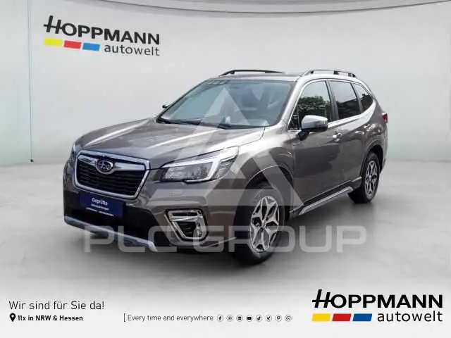 2022 Subaru Forester