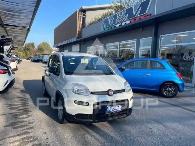 2022 Fiat Panda