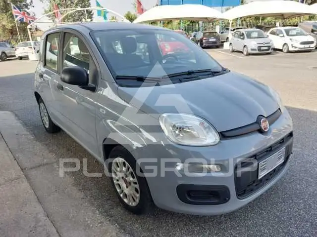 2022 Fiat Panda