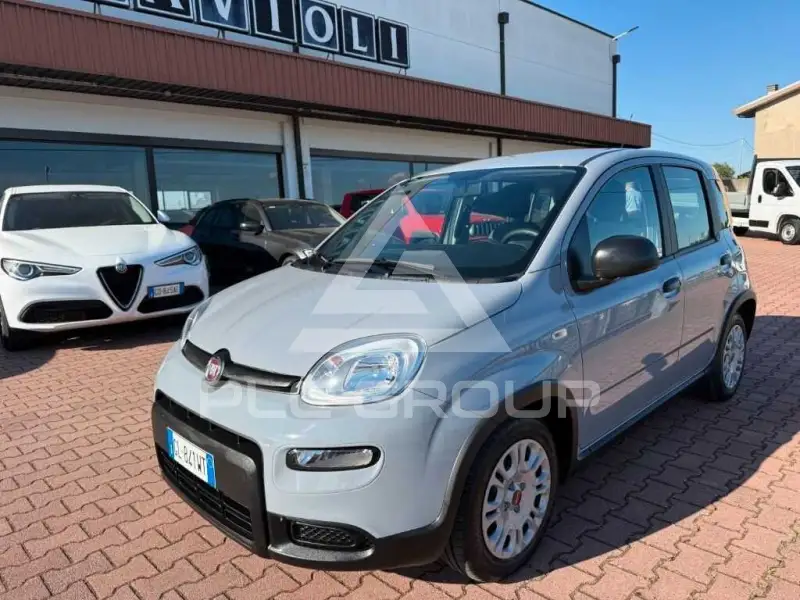 2022 Fiat Panda