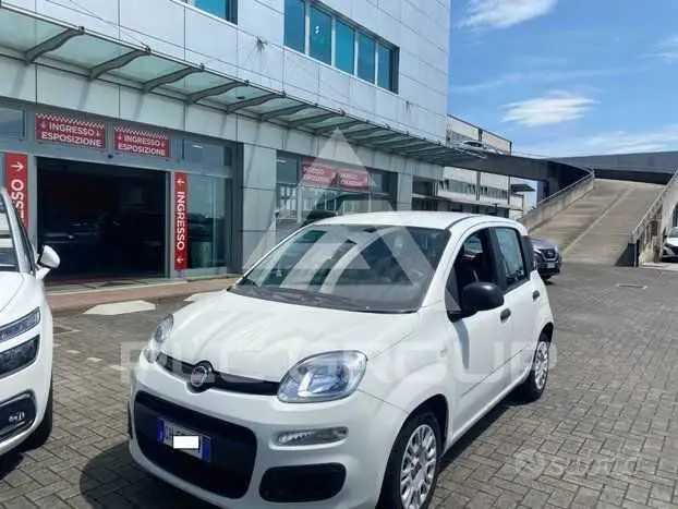 2022 Fiat Panda