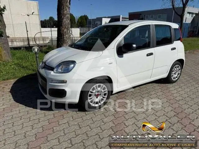 2022 Fiat Panda