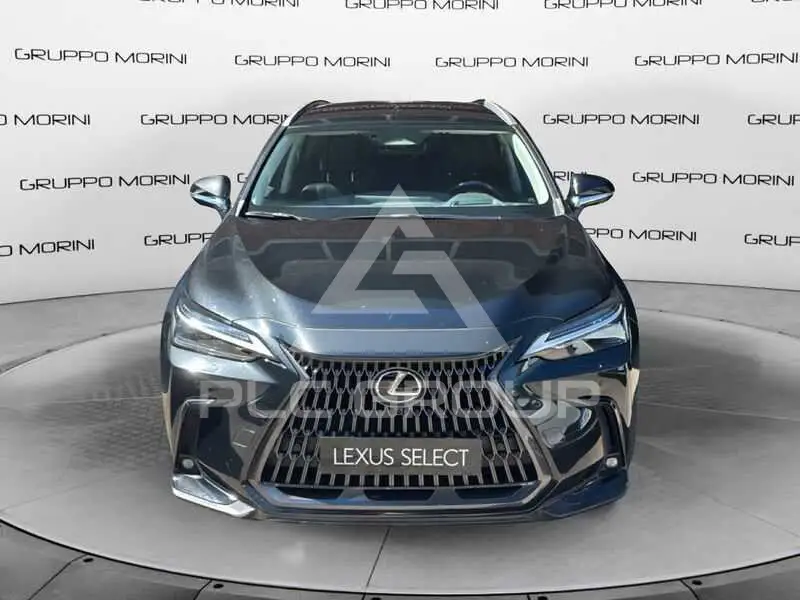 2022 Lexus Other