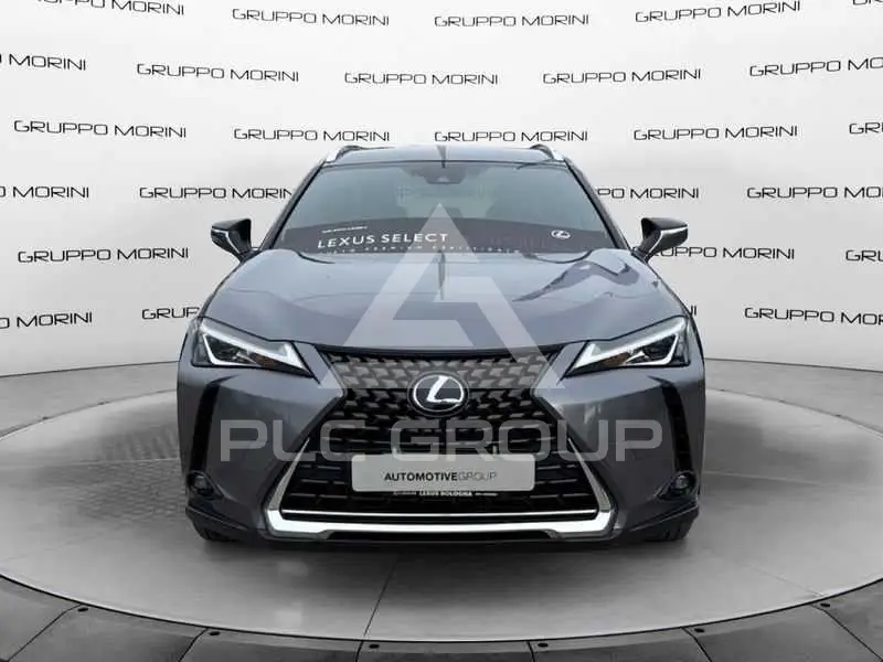 2022 Lexus UX