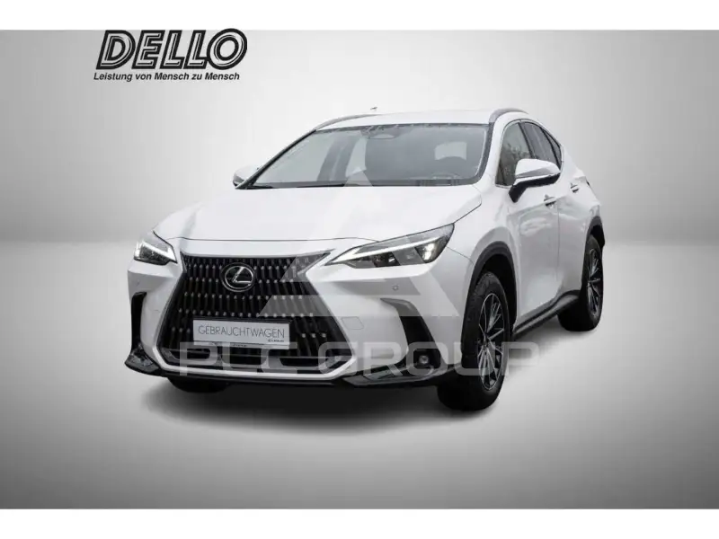 2022 Lexus NX450