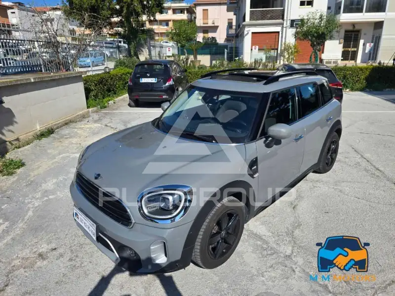 2022 Mini Unknown
