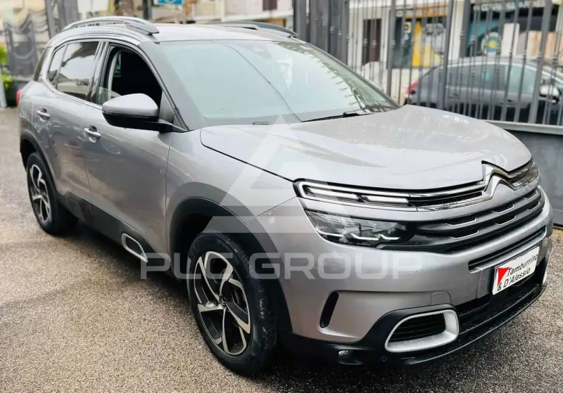 2022 Citroen C5