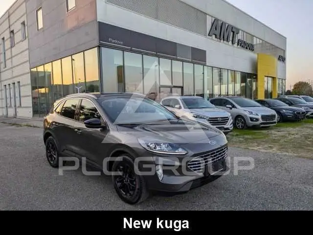 2022 Ford Kuga