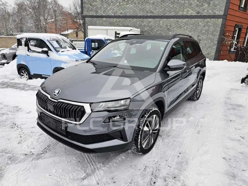 2023 Skoda Karoq