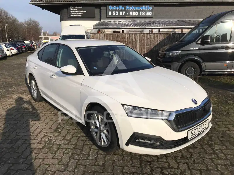 2023 Skoda Octavia