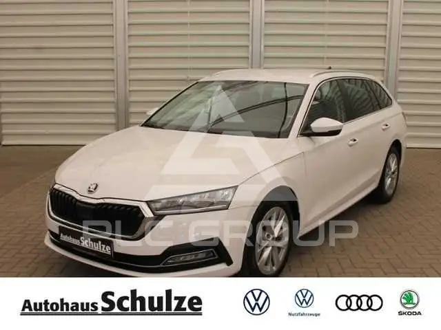 2023 Skoda Octavia