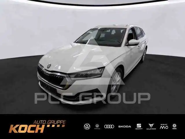 2023 Skoda Octavia