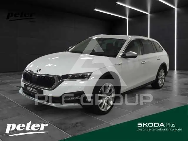 2023 Skoda Octavia