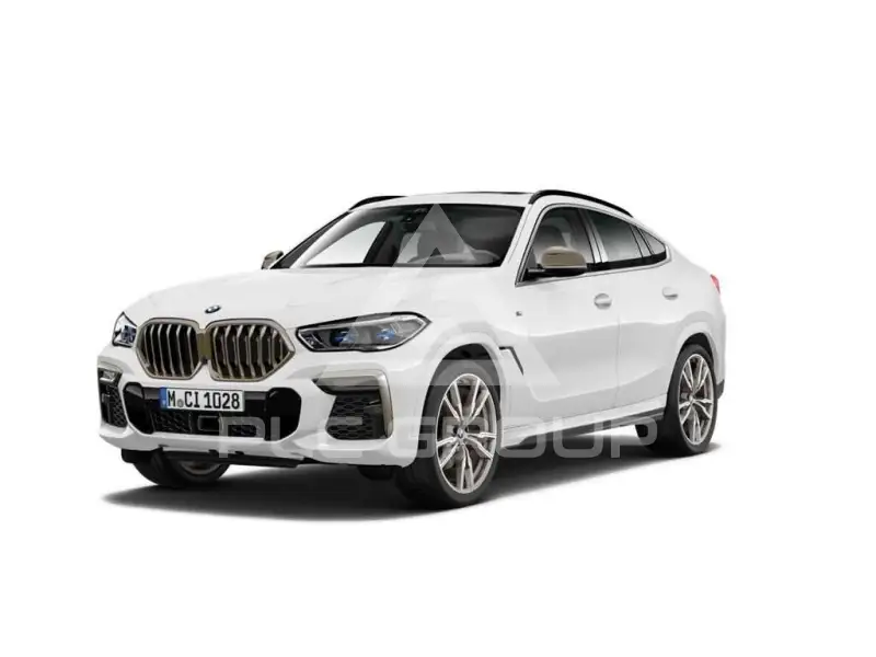 2023 BMW X6