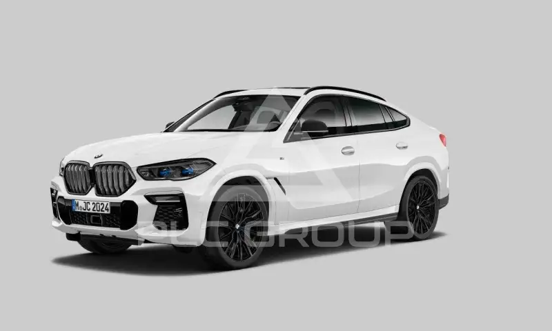 2023 BMW X6
