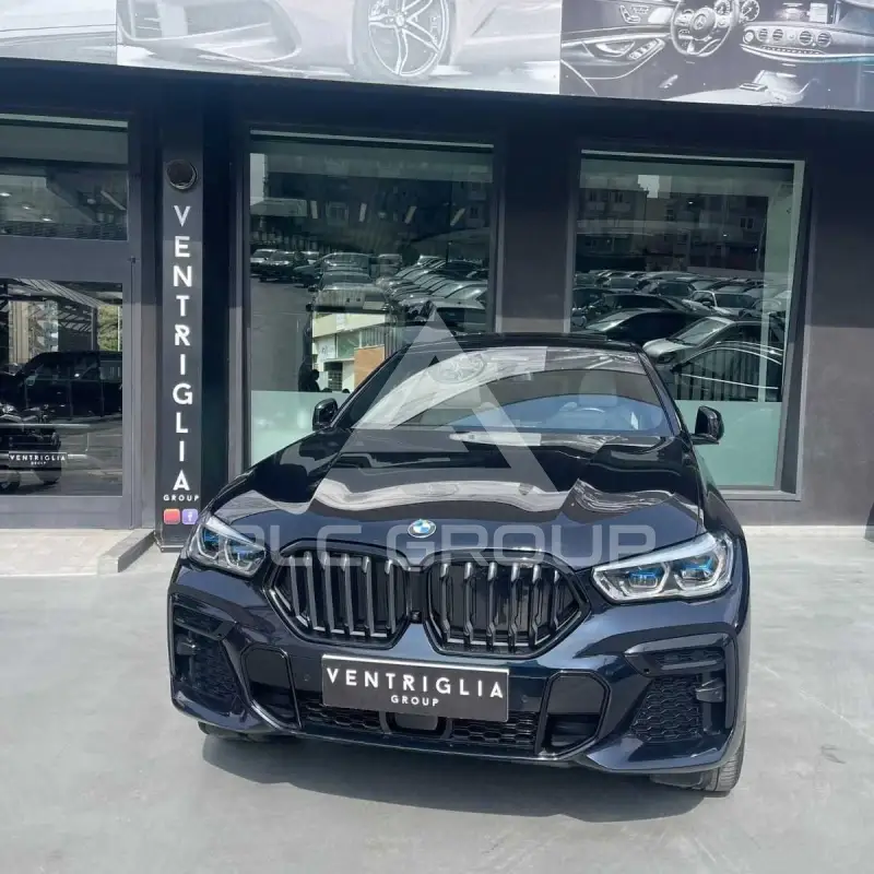 2023 BMW X6
