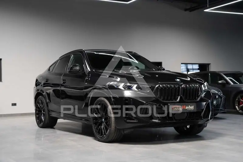 2023 BMW X6