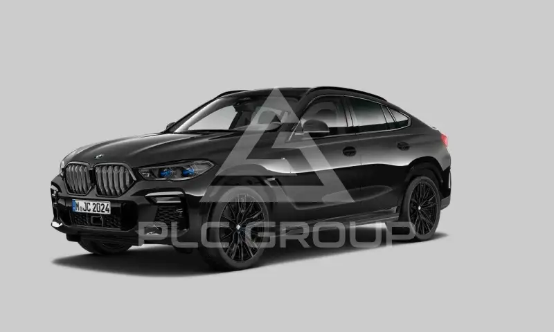 2023 BMW X6