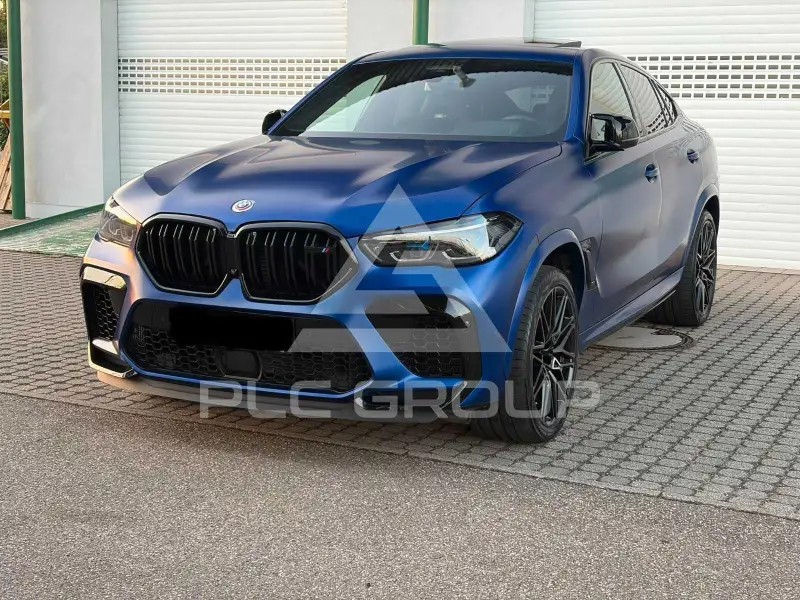 2023 BMW X6
