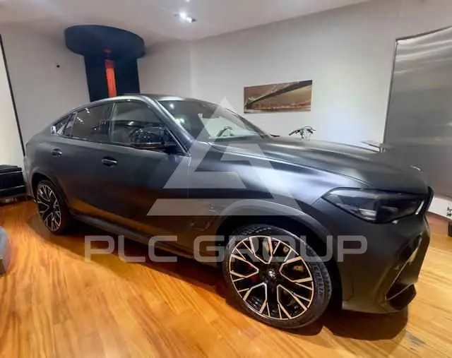 2023 BMW X6