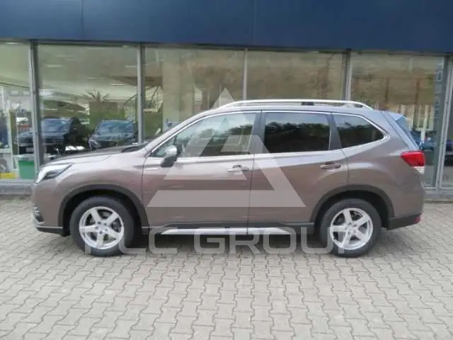 2023 Subaru Forester