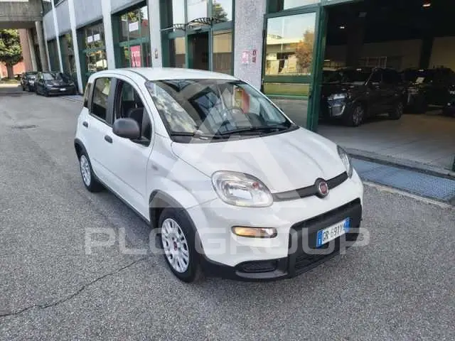 2023 Fiat Panda