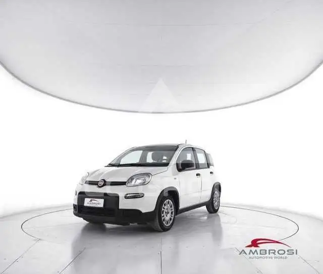 2023 Fiat Panda