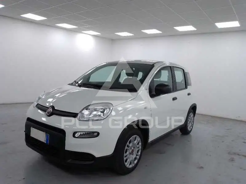 2023 Fiat Panda