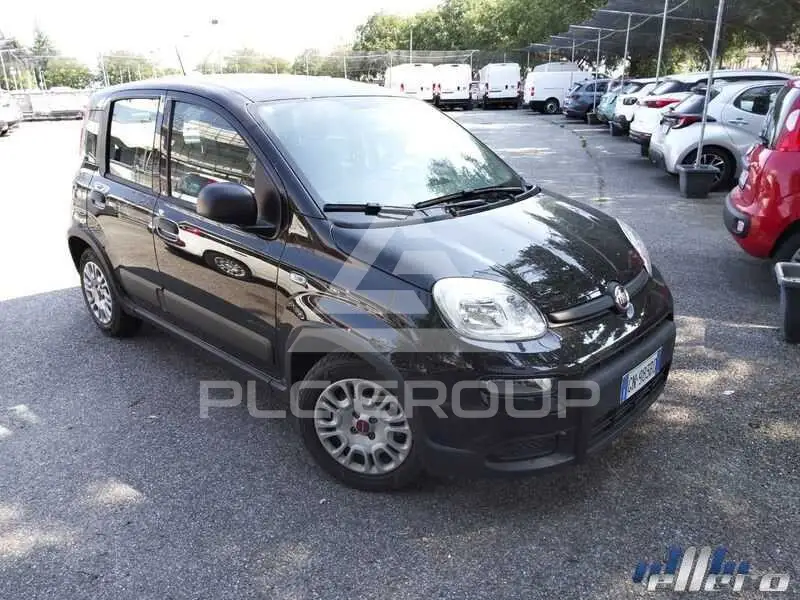 2023 Fiat Panda