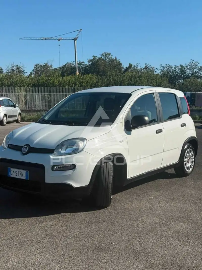 2023 Fiat Panda