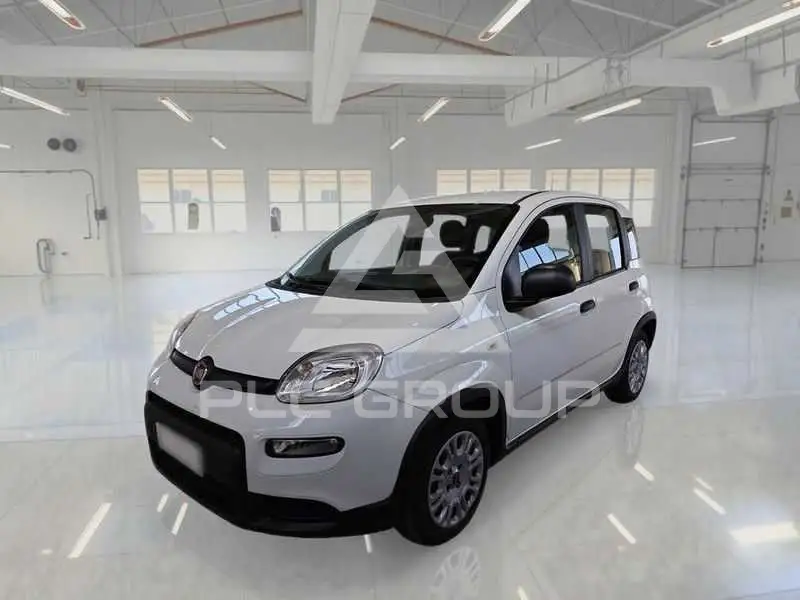 2023 Fiat Panda