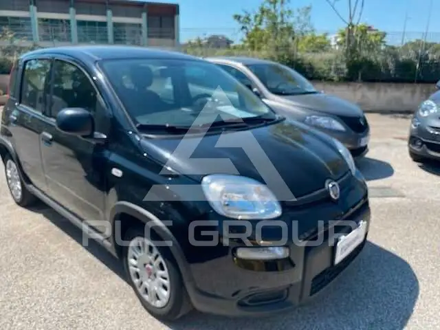 2023 Fiat Panda